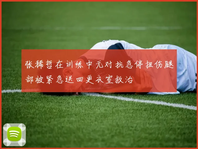 张稀哲在训练中无对抗急停扭伤腿部被紧急送回更衣室救治